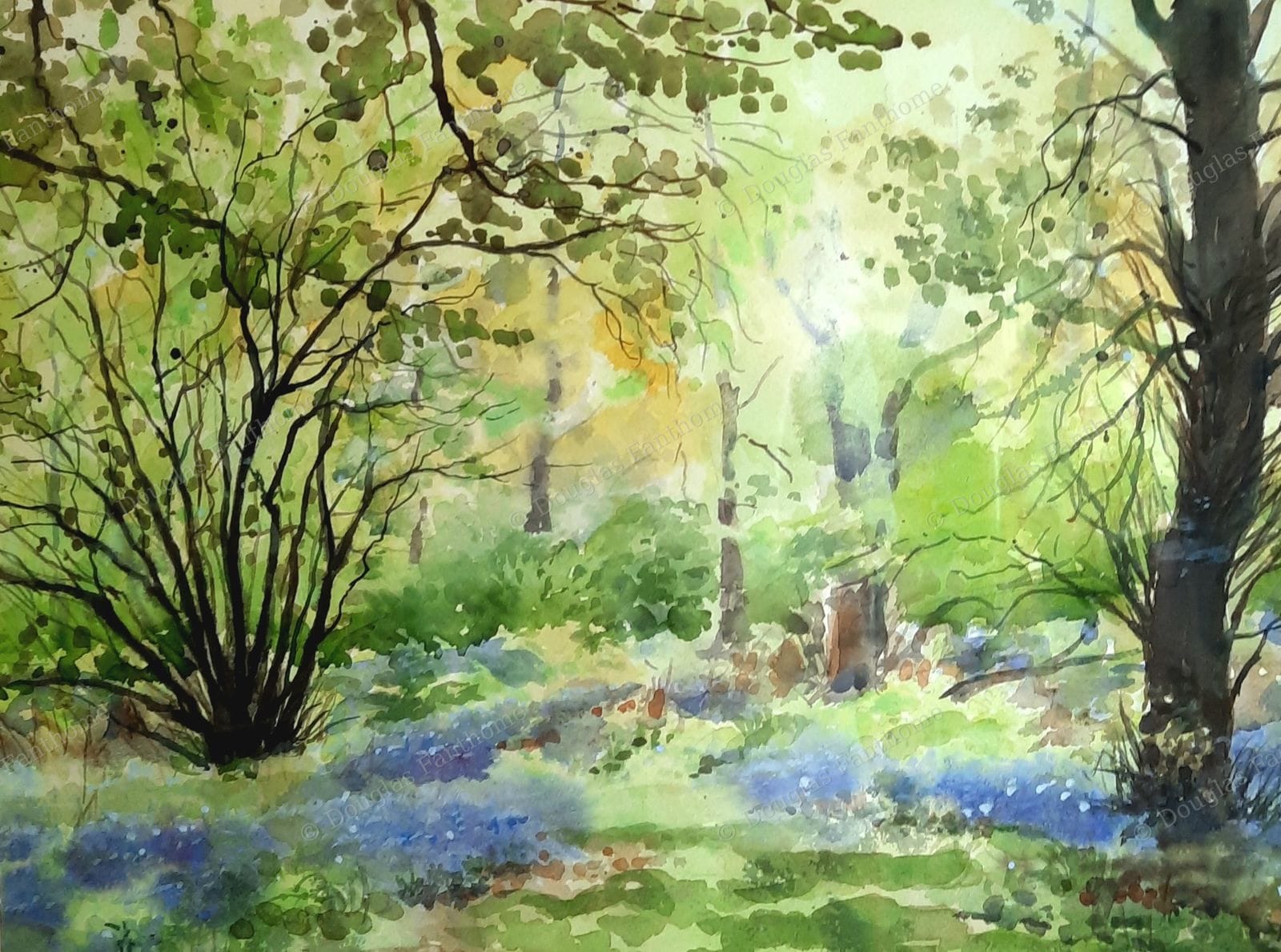 Jewel's Wood