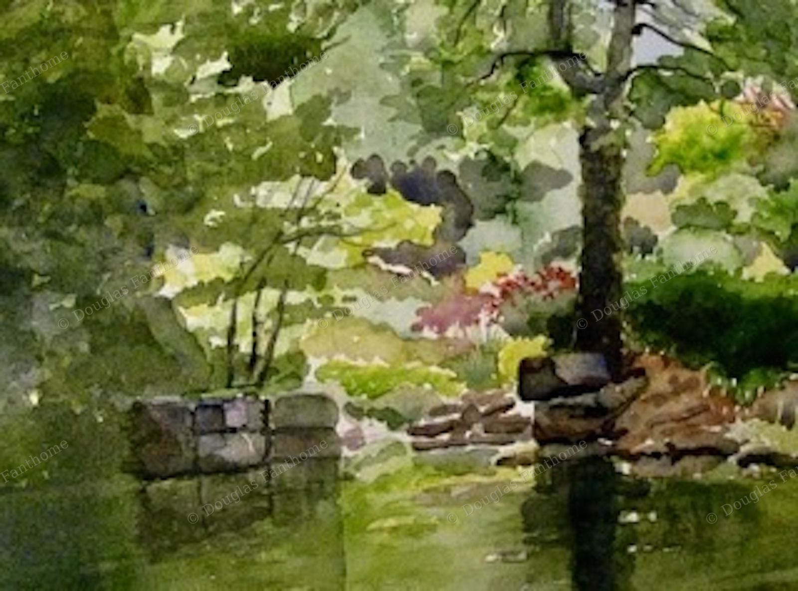 Pond