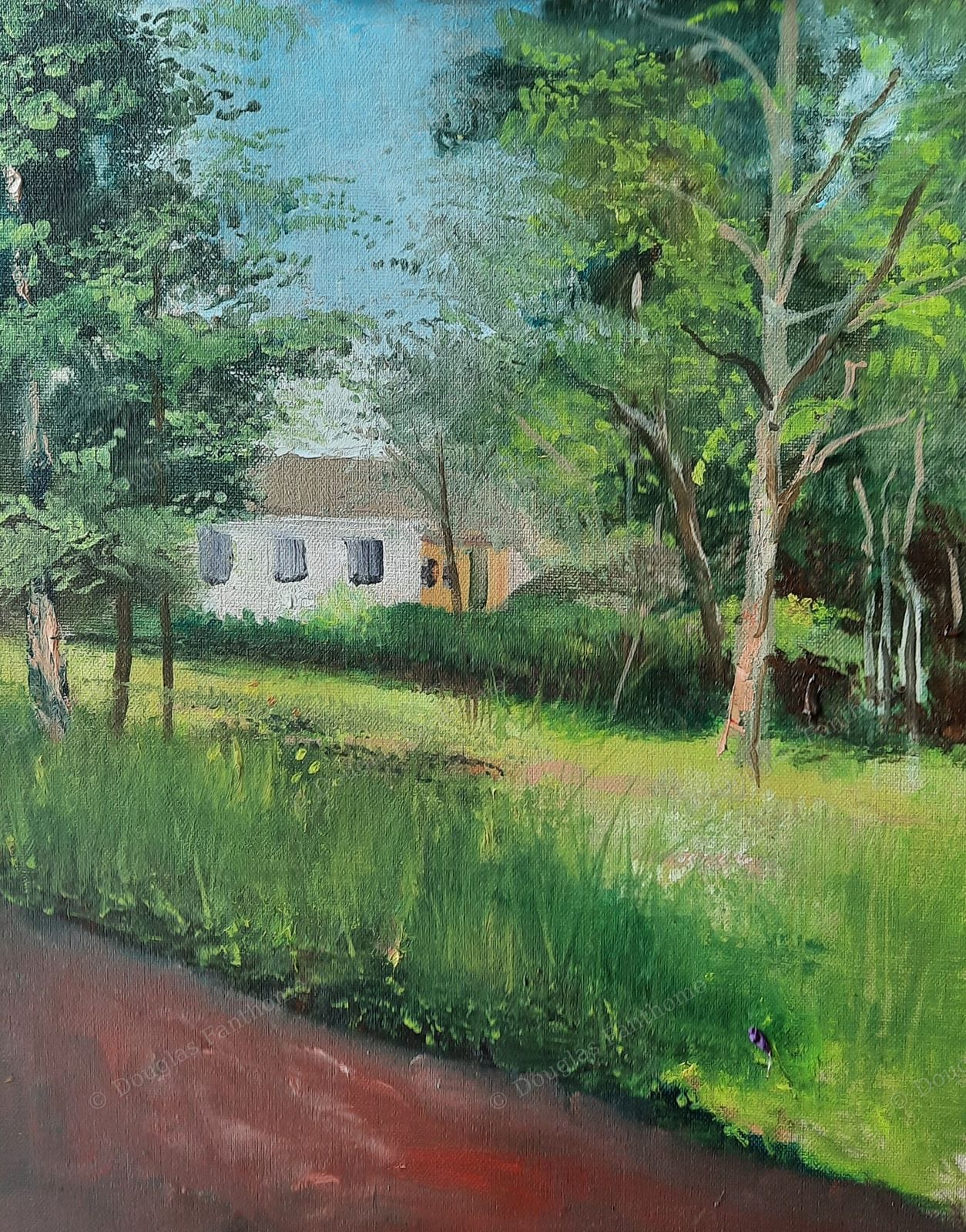 The Wilderness
